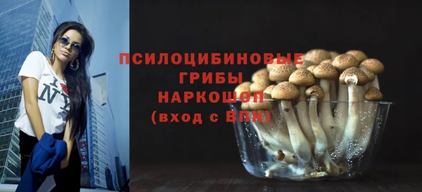 mdma Новодвинск