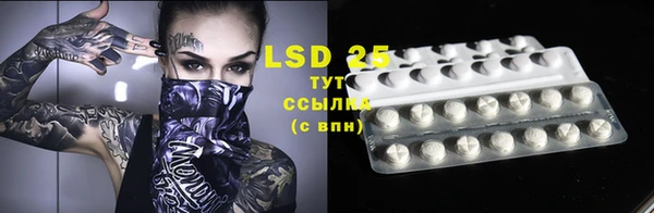 PSILOCYBIN Новокубанск