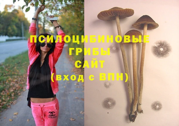 mdma Новодвинск