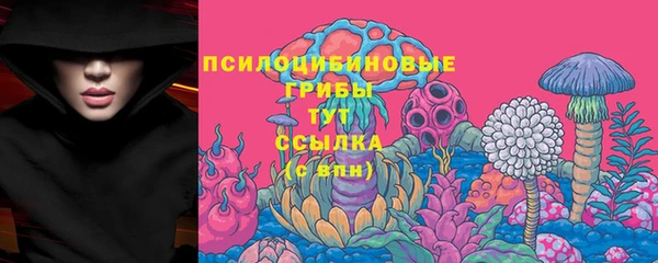 PSILOCYBIN Новокубанск