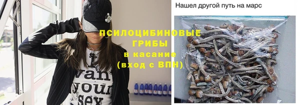 mdma Новодвинск