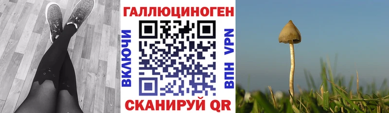 OMG как зайти  Белогорск  Псилоцибиновые грибы мухоморы  купить закладку 