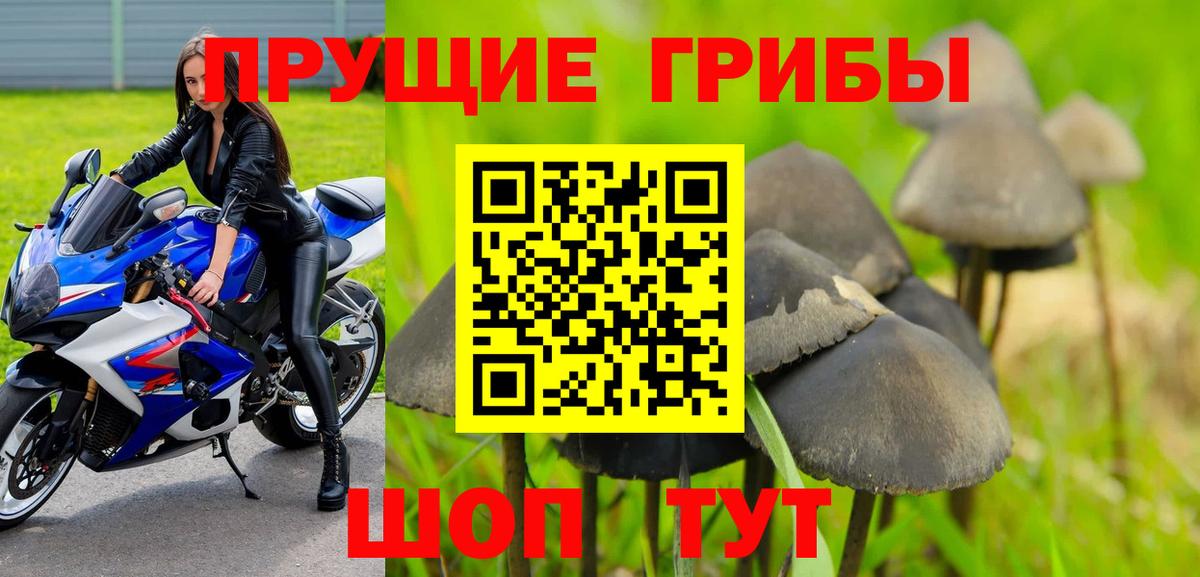 Белогорск  Псилоцибиновые грибы Psilocybine cubensis  Вход с VPN 