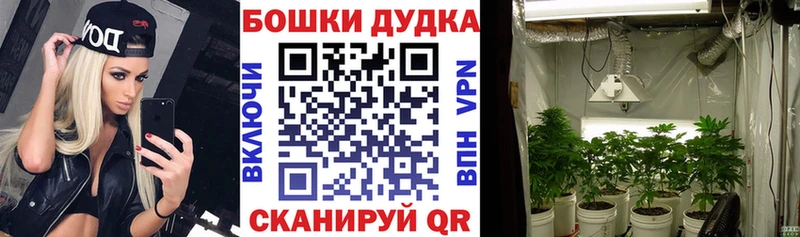 Каннабис SATIVA & INDICA Белогорск